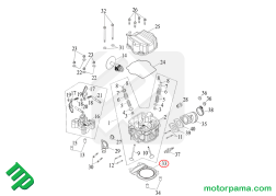 guarnizione access 12300-E11-000 (2)